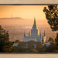 Golden Oakland