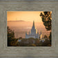 Golden Oakland