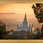 Golden Oakland