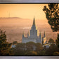 Golden Oakland