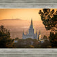 Golden Oakland