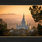 Golden Oakland