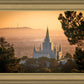 Golden Oakland