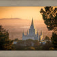 Golden Oakland