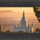 Golden Oakland