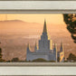 Golden Oakland
