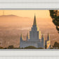 Golden Oakland