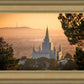 Golden Oakland