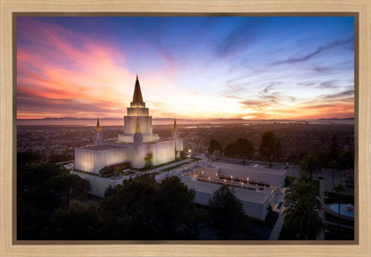 Oakland from on High