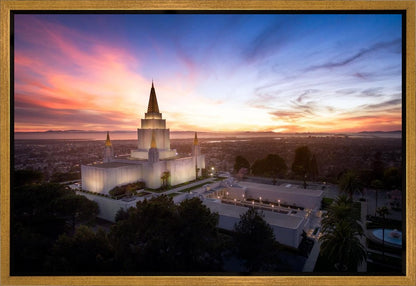 Oakland from on High