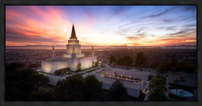 Oakland from on High