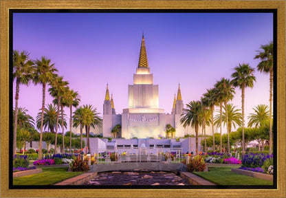 Oakland Summer Sunset