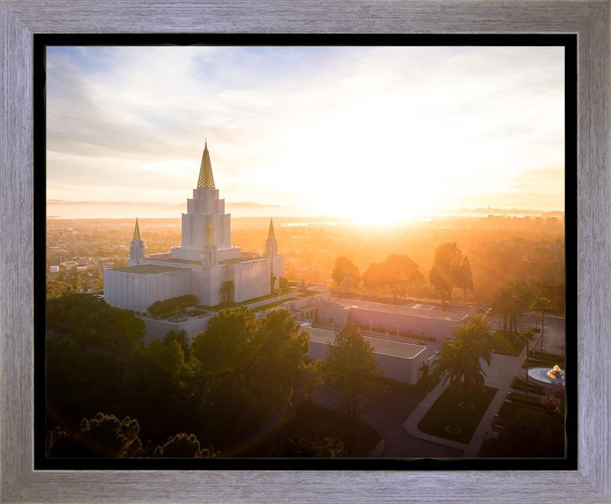 Oakland Sunburst