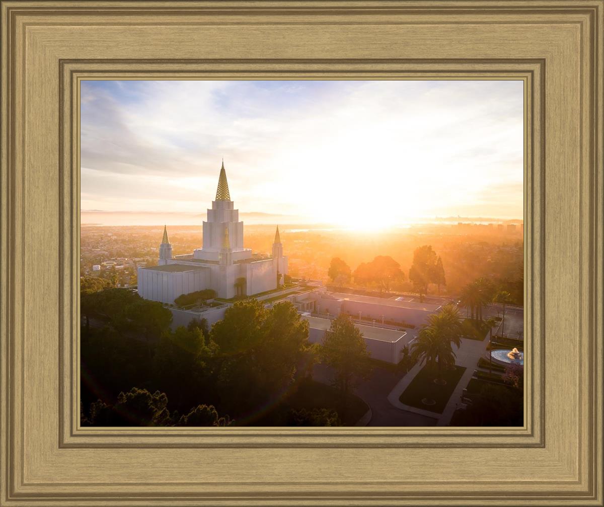 Oakland Sunburst