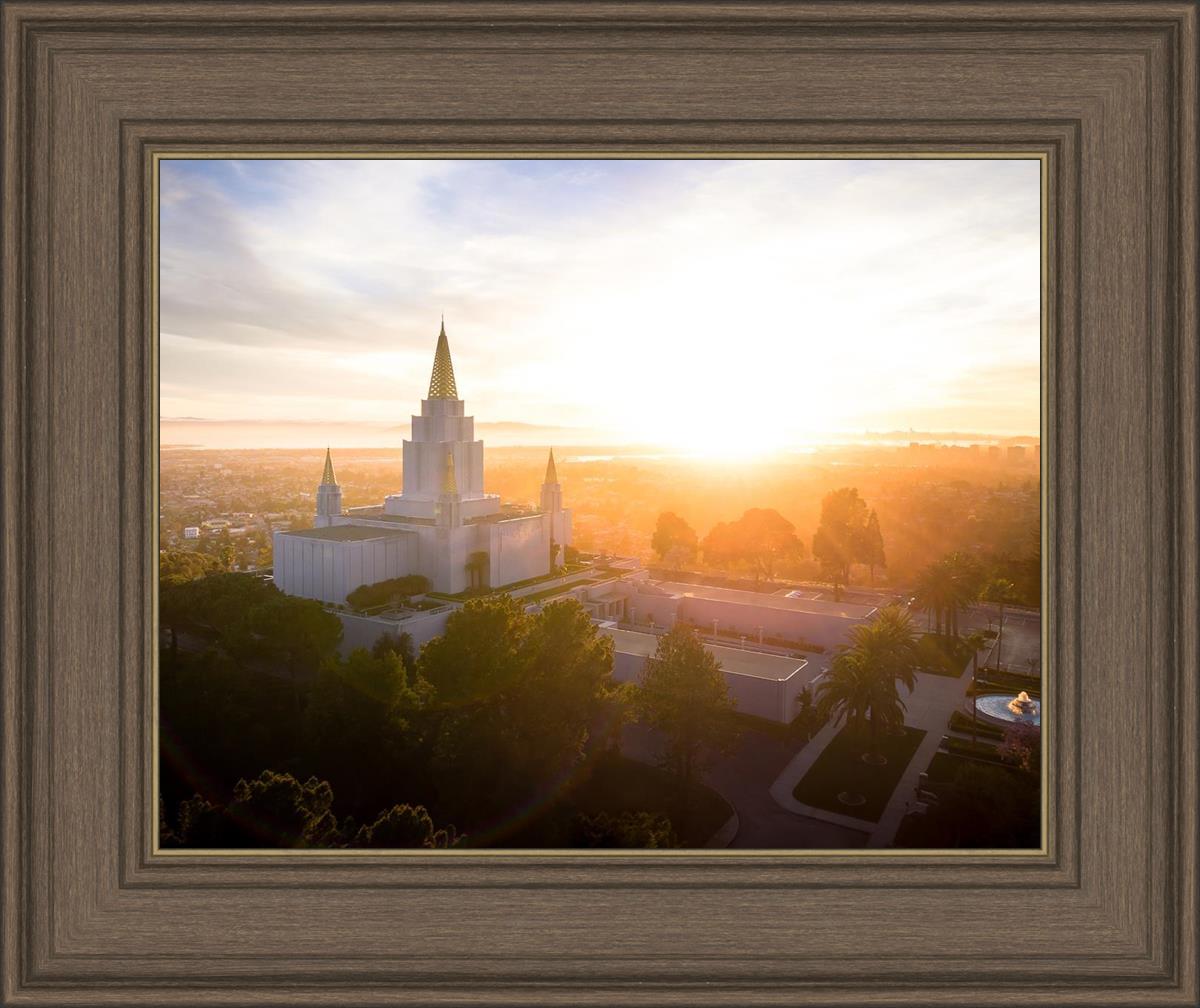 Oakland Sunburst