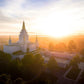 Oakland Sunburst