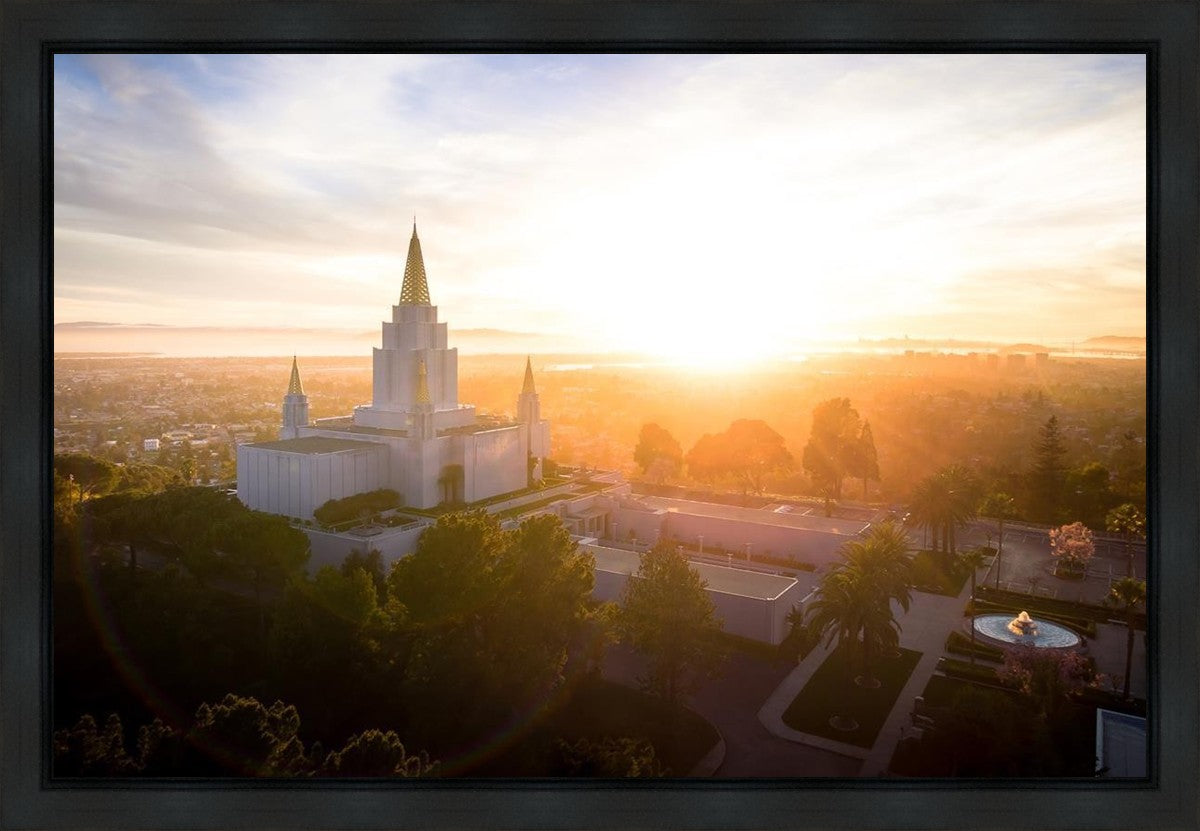 Oakland Sunburst
