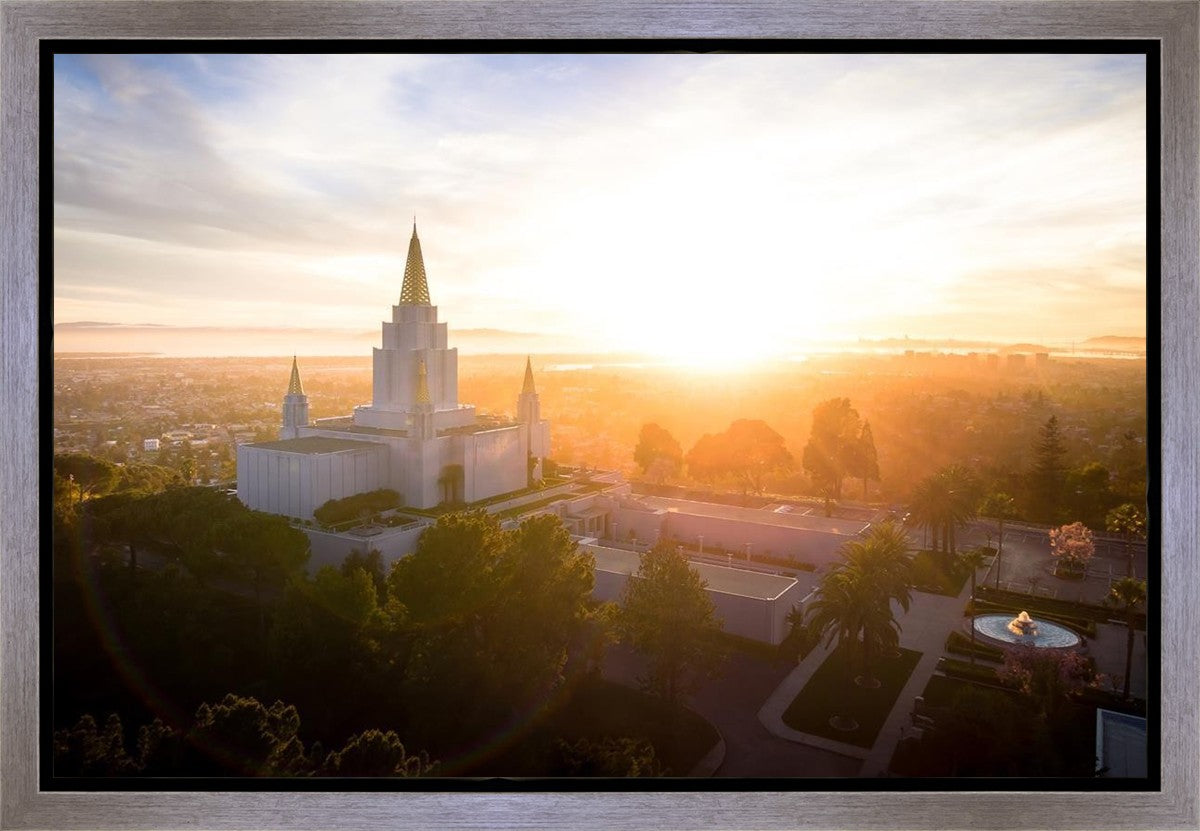 Oakland Sunburst