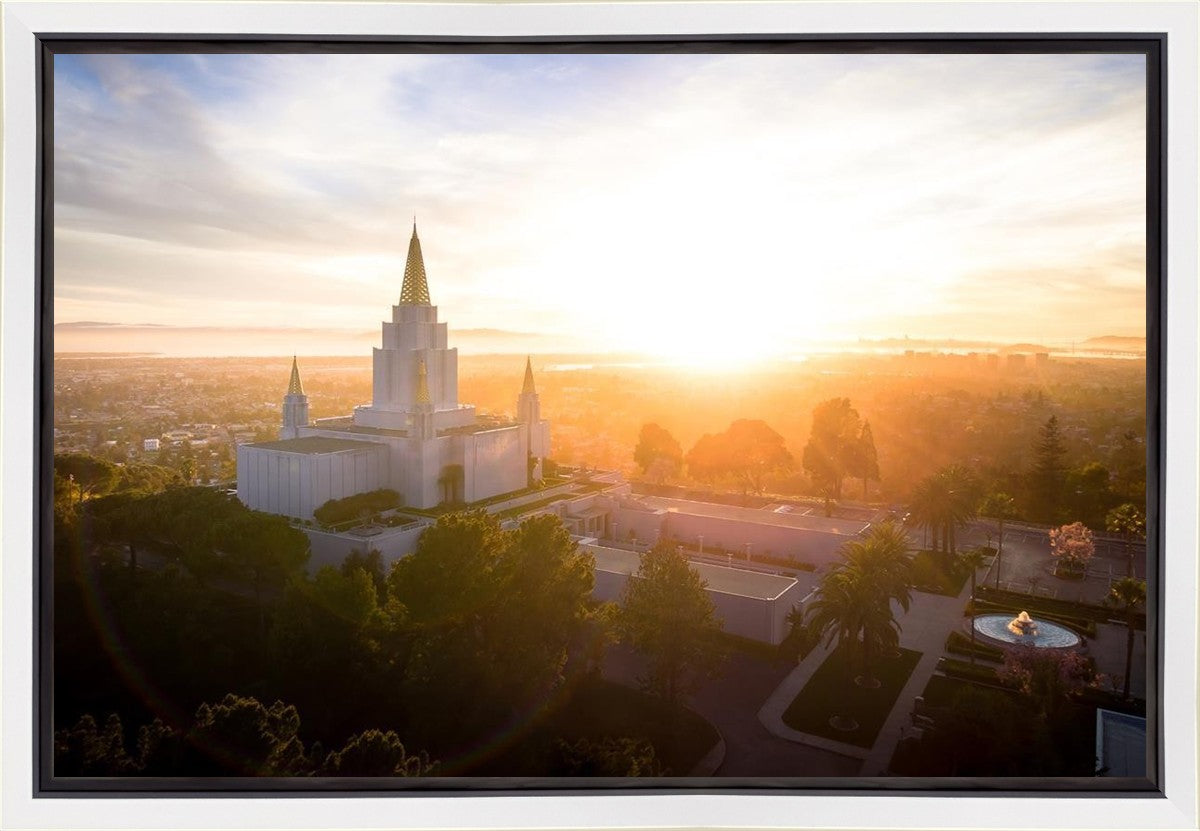 Oakland Sunburst