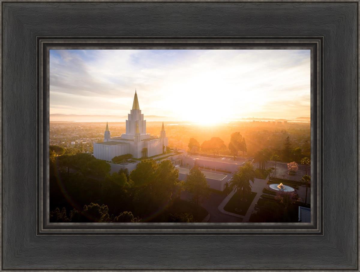 Oakland Sunburst