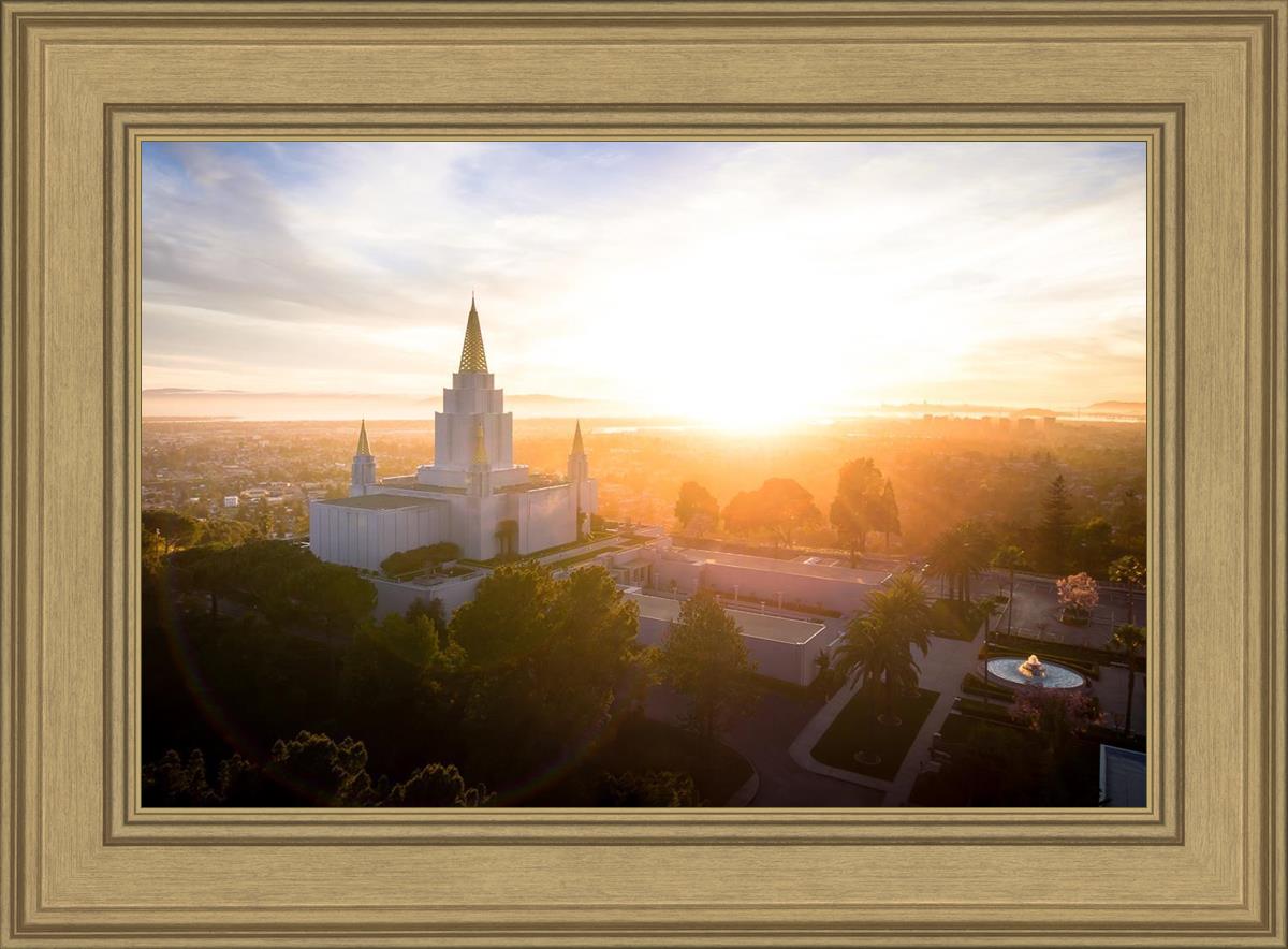 Oakland Sunburst