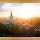 Oakland Sunburst