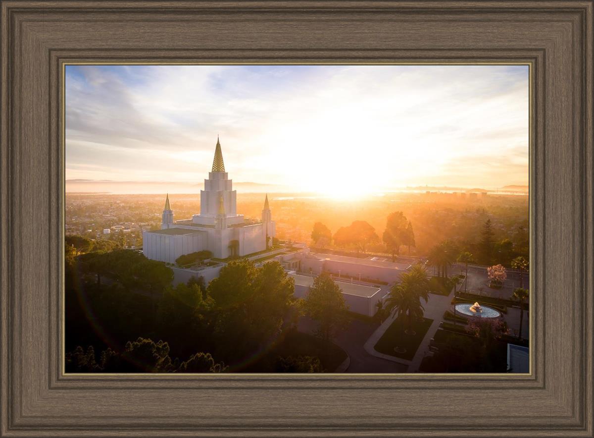 Oakland Sunburst