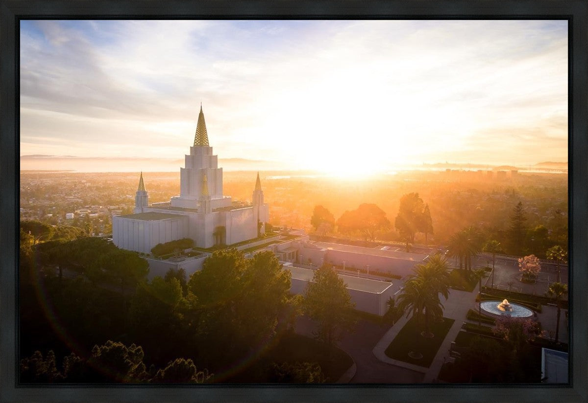 Oakland Sunburst