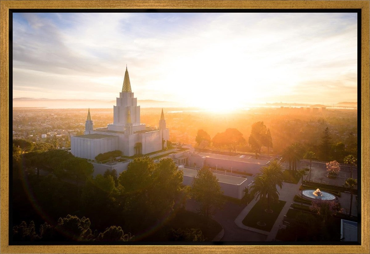 Oakland Sunburst