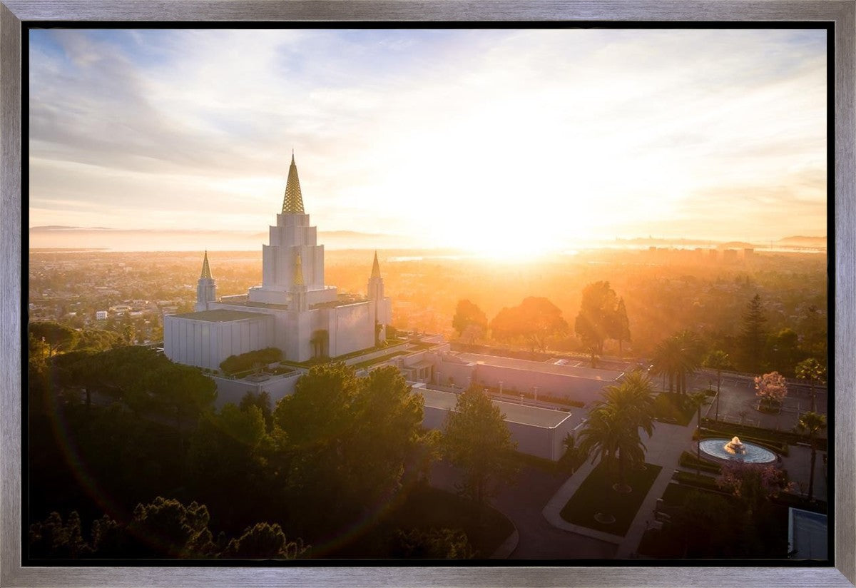 Oakland Sunburst