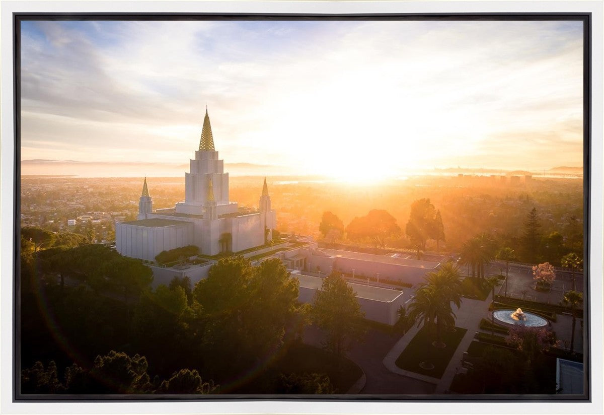 Oakland Sunburst