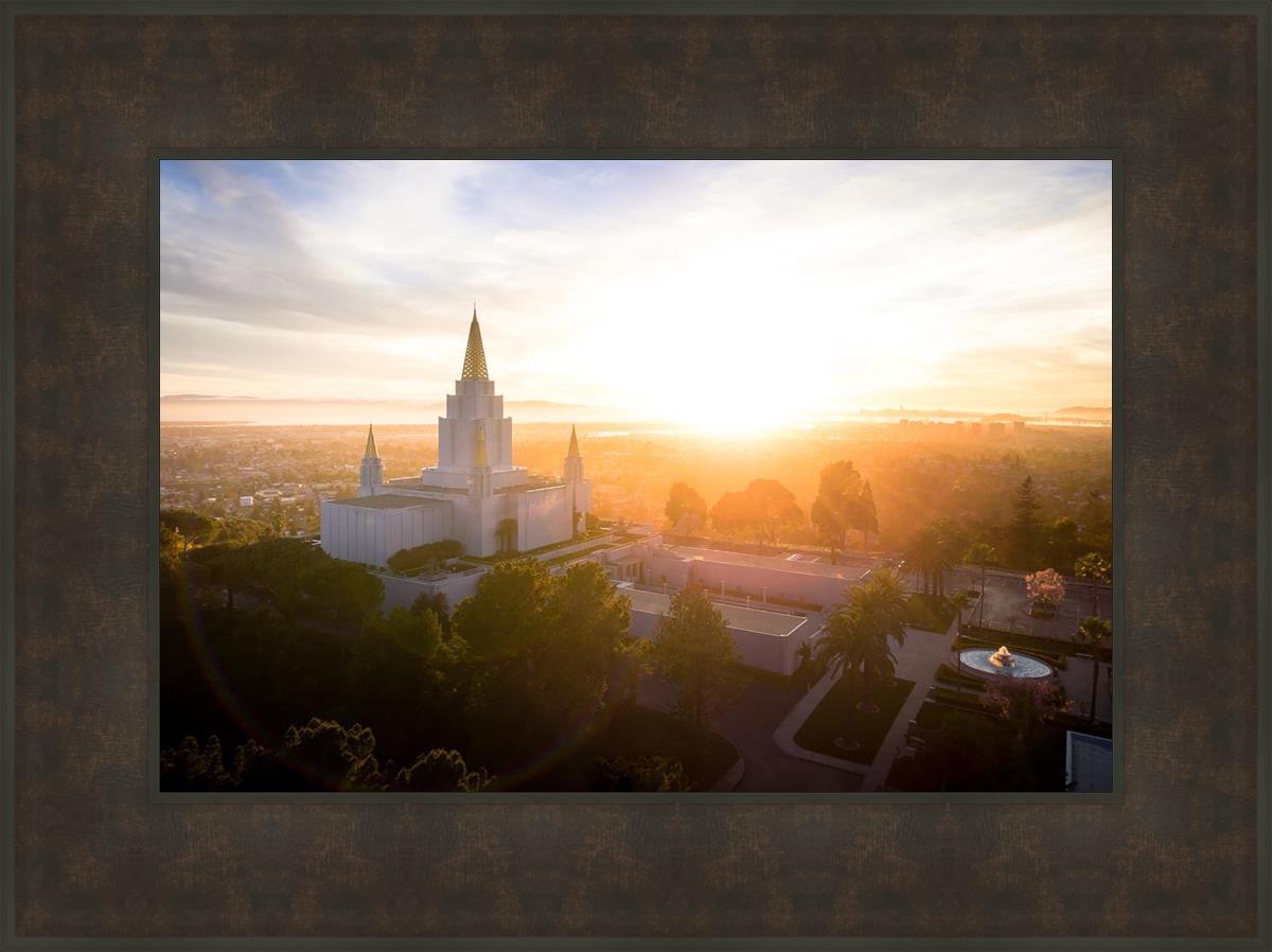 Oakland Sunburst
