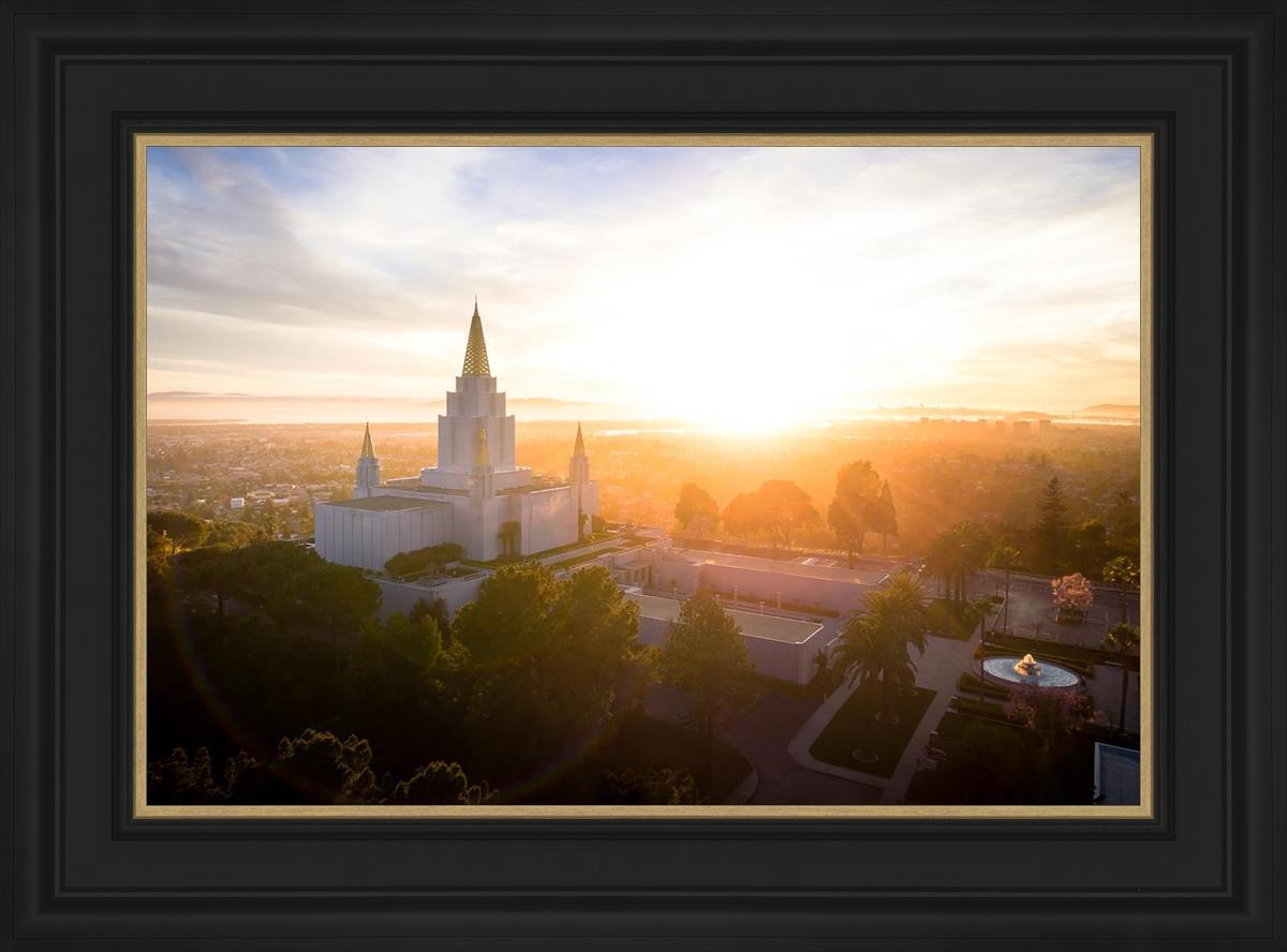 Oakland Sunburst