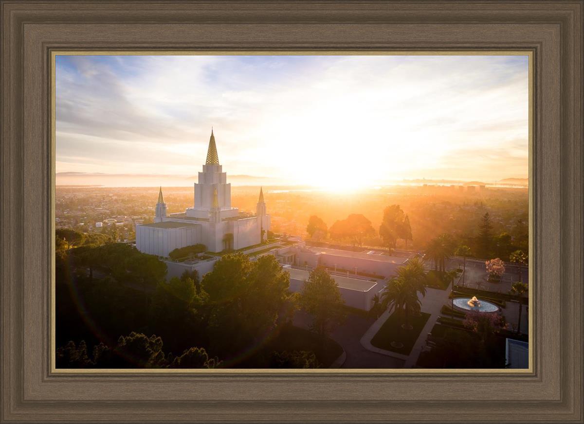 Oakland Sunburst