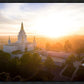 Oakland Sunburst