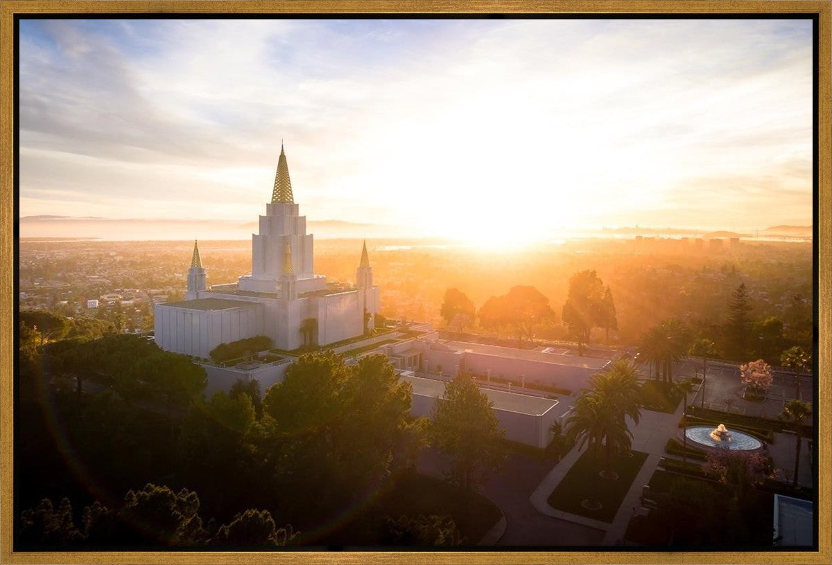 Oakland Sunburst