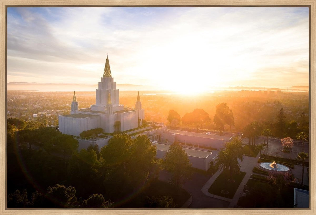 Oakland Sunburst