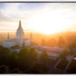 Oakland Sunburst