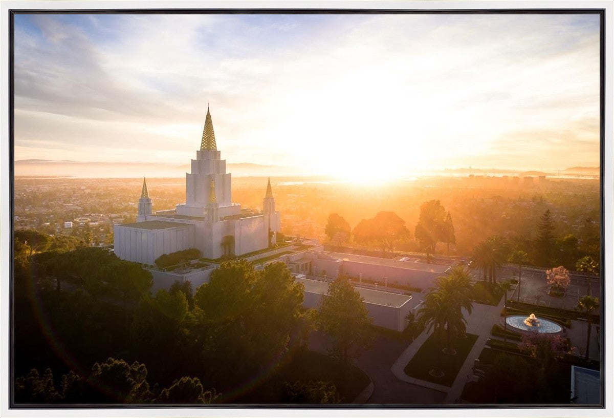 Oakland Sunburst