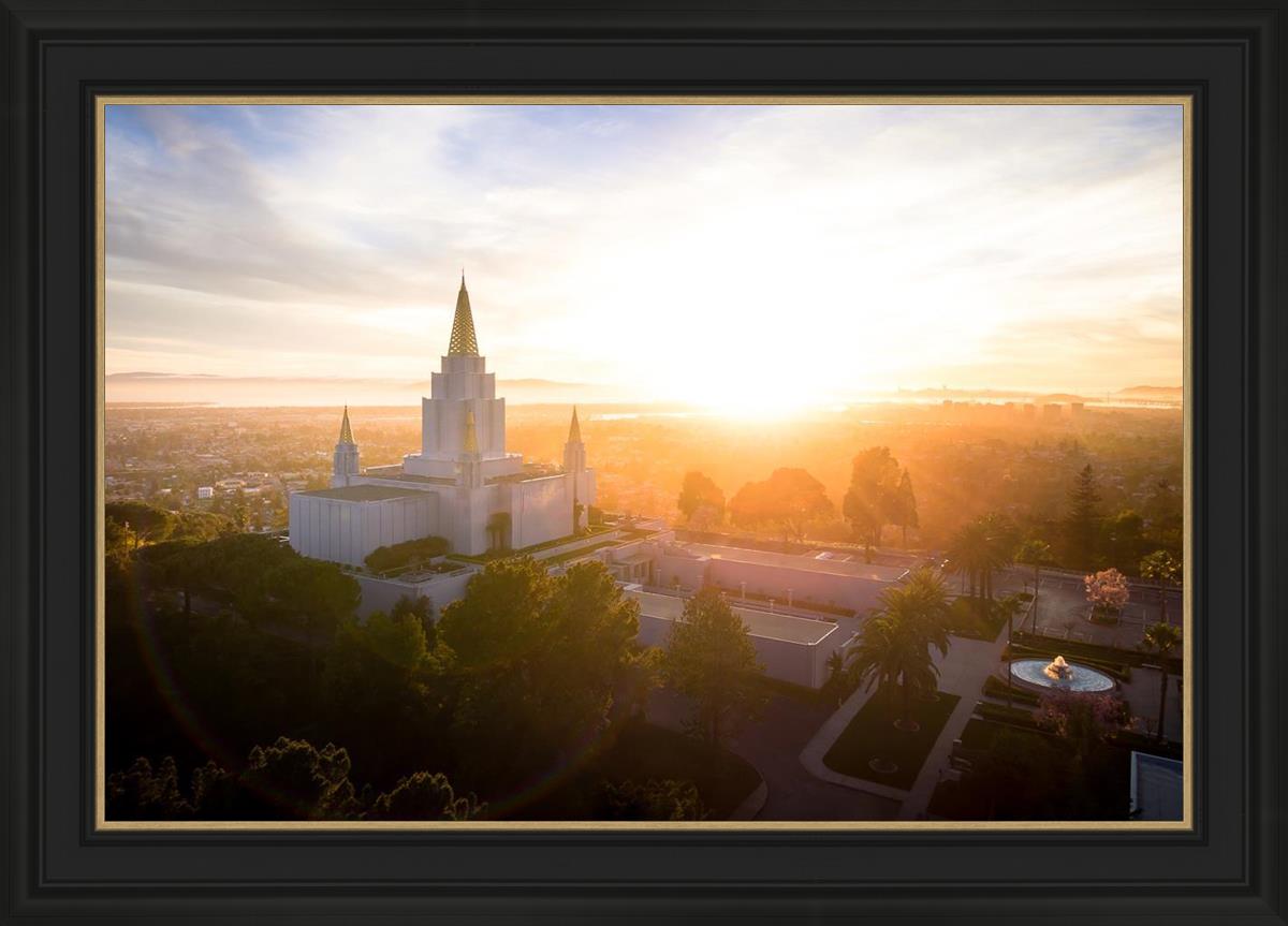 Oakland Sunburst