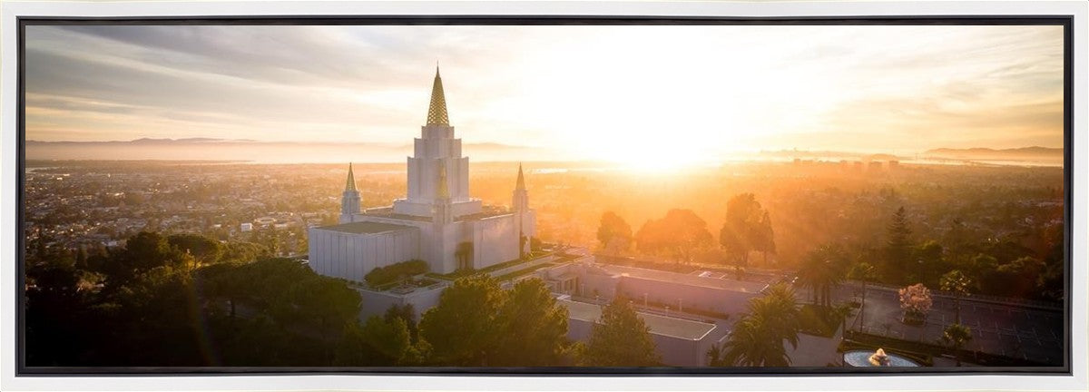 Oakland Sunburst