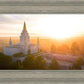 Oakland Sunburst