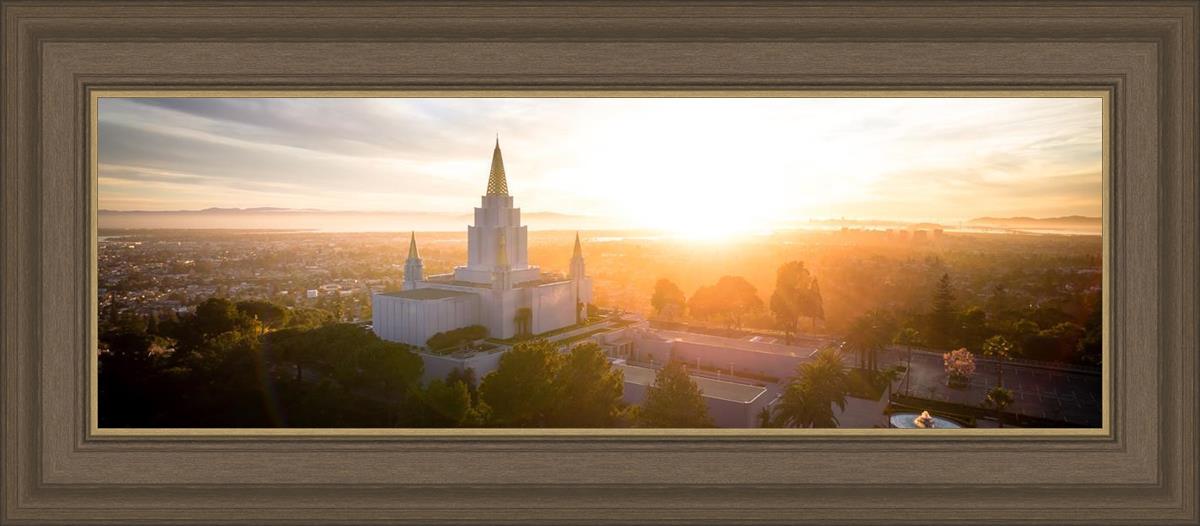 Oakland Sunburst