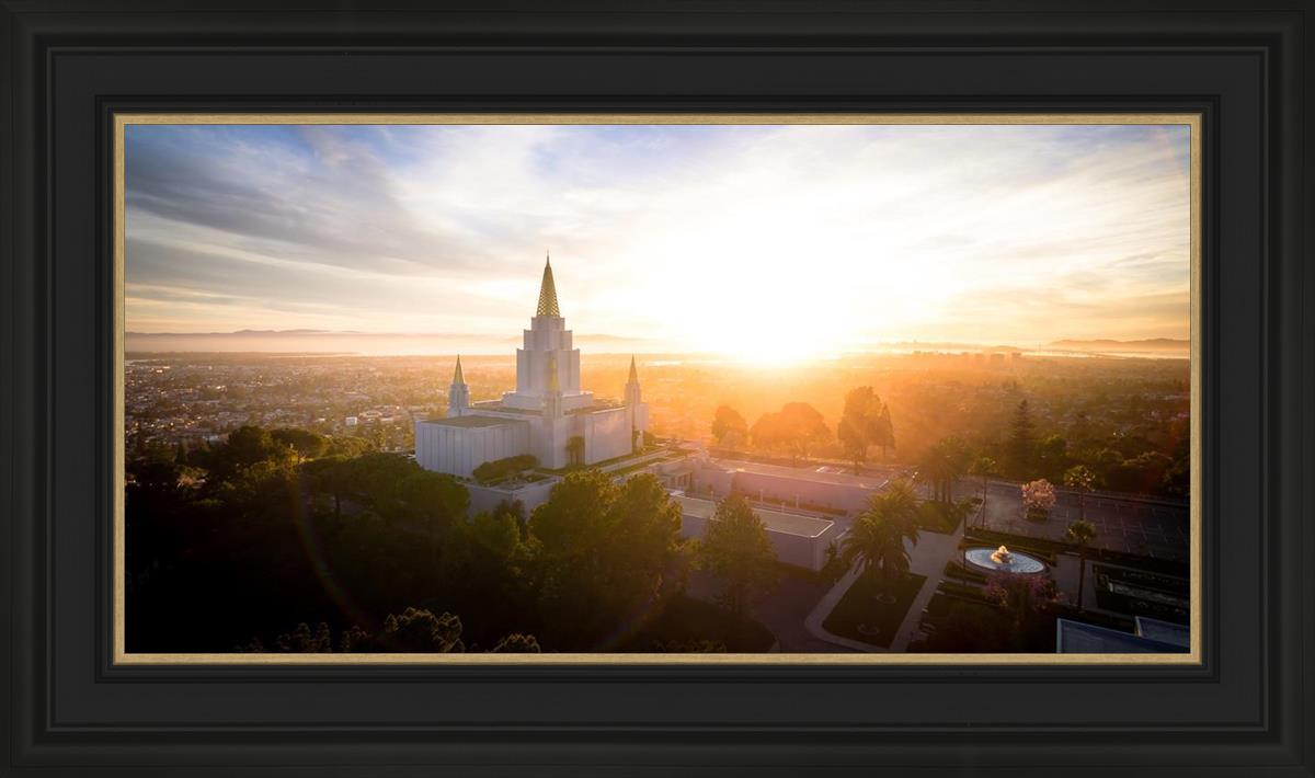Oakland Sunburst
