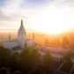 Oakland Sunburst