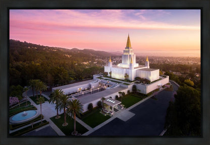 Oakland Sunset from on High
