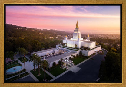 Oakland Sunset from on High