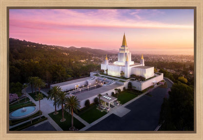 Oakland Sunset from on High