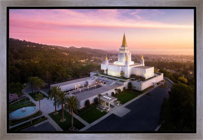 Oakland Sunset from on High
