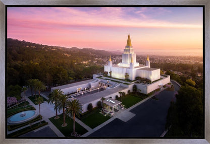 Oakland Sunset from on High